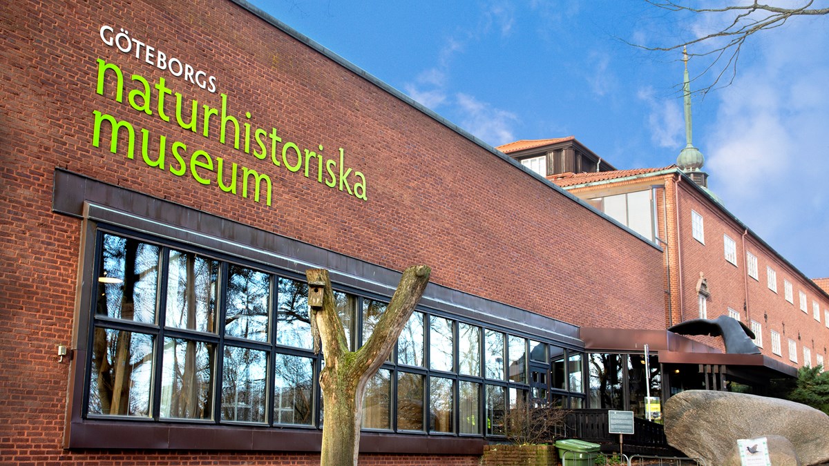 gothenburg natural history museum