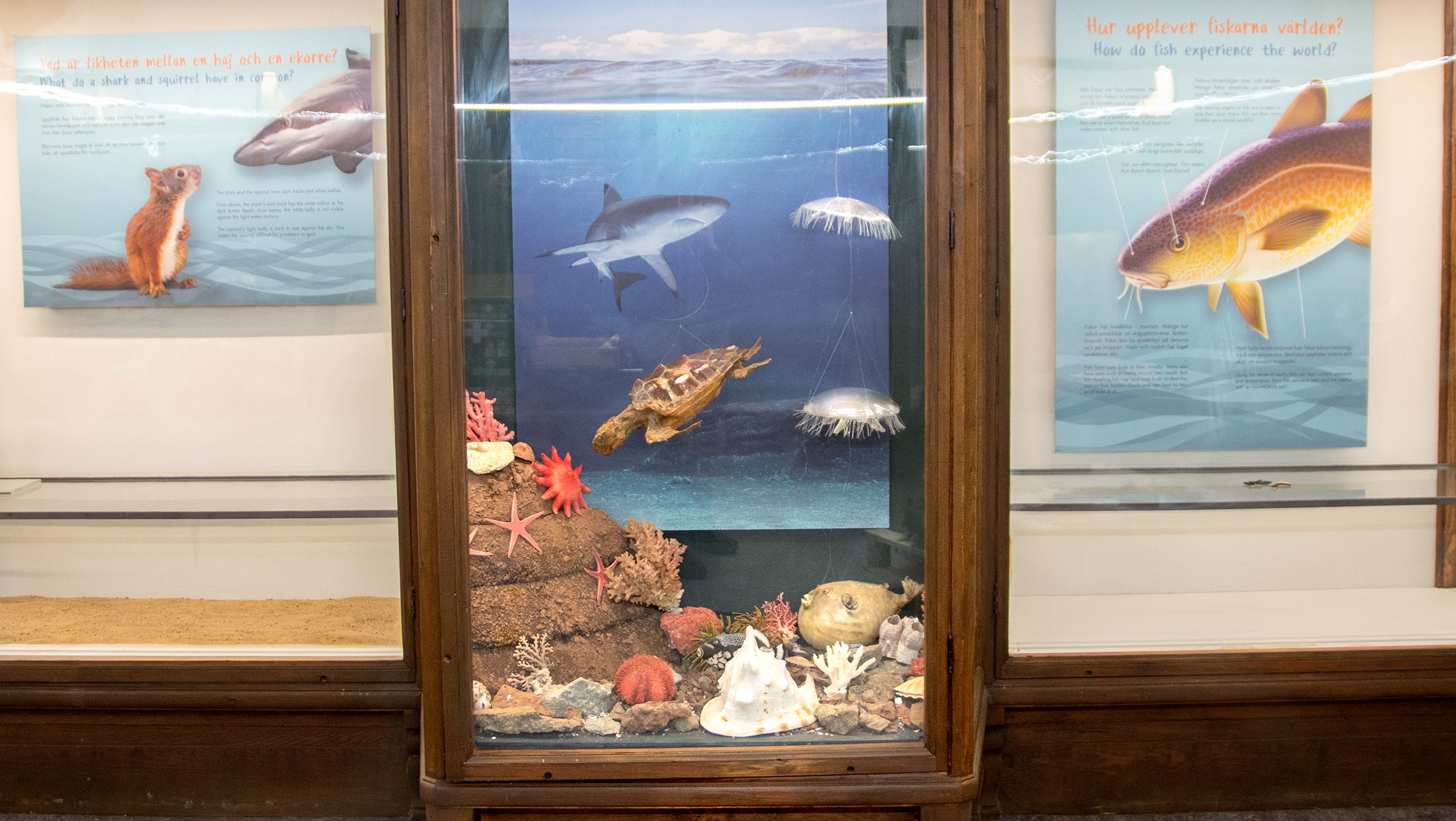 Ingen beskrivning tillgänglig