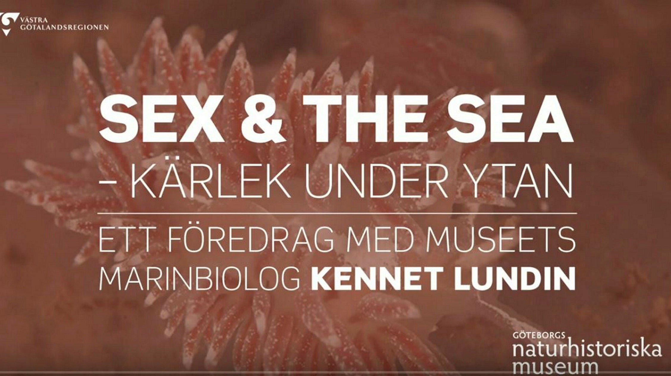 Ingen beskrivning tillgänglig