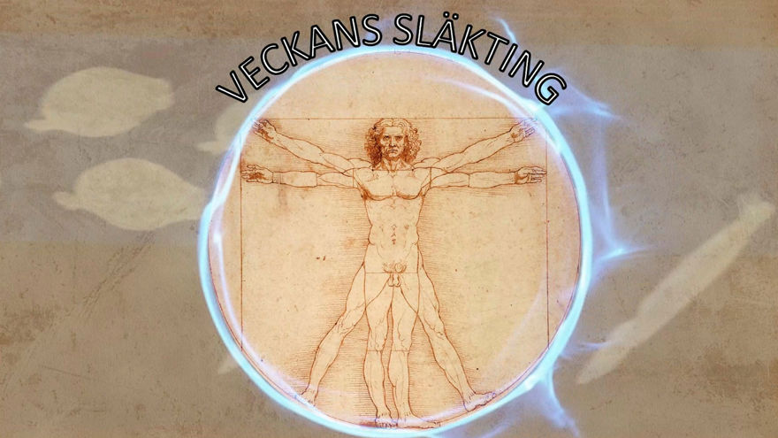 Ingen beskrivning tillgänglig