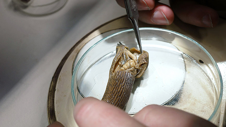 Ingen beskrivning tillgänglig