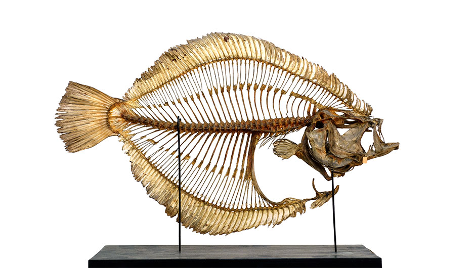 Ingen beskrivning tillgänglig