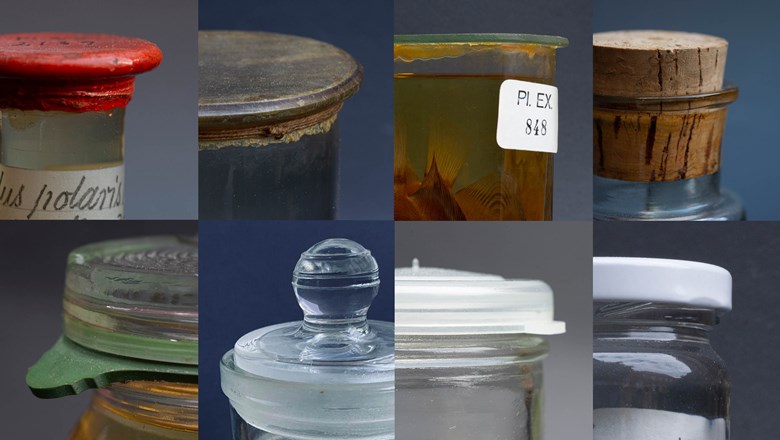 Kollage av åtta bilder på olika burkar ur museets samlingar