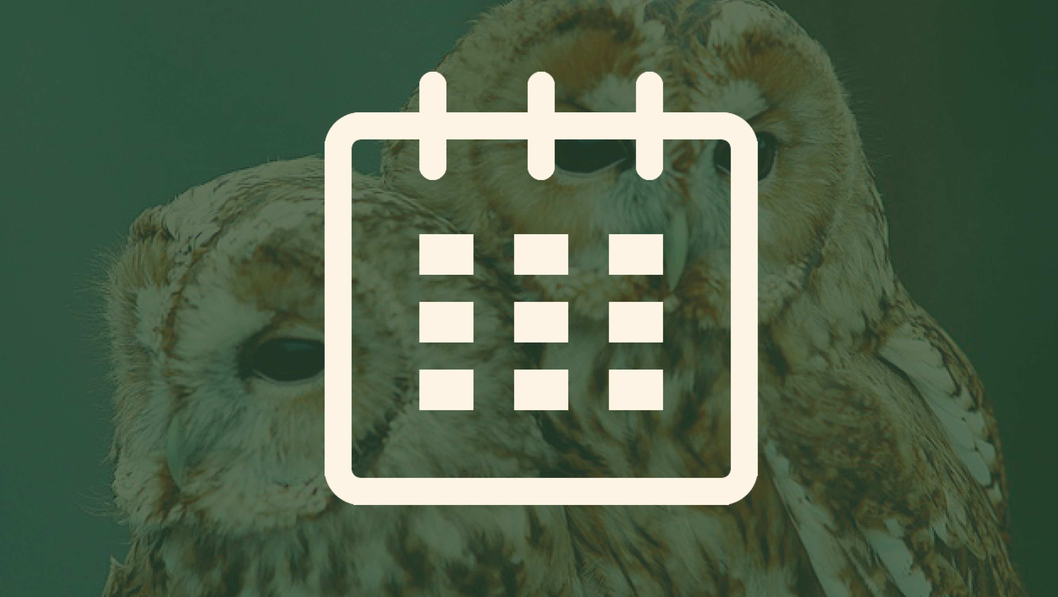 Bild på två ugglor med ett kalenderpiktogram 