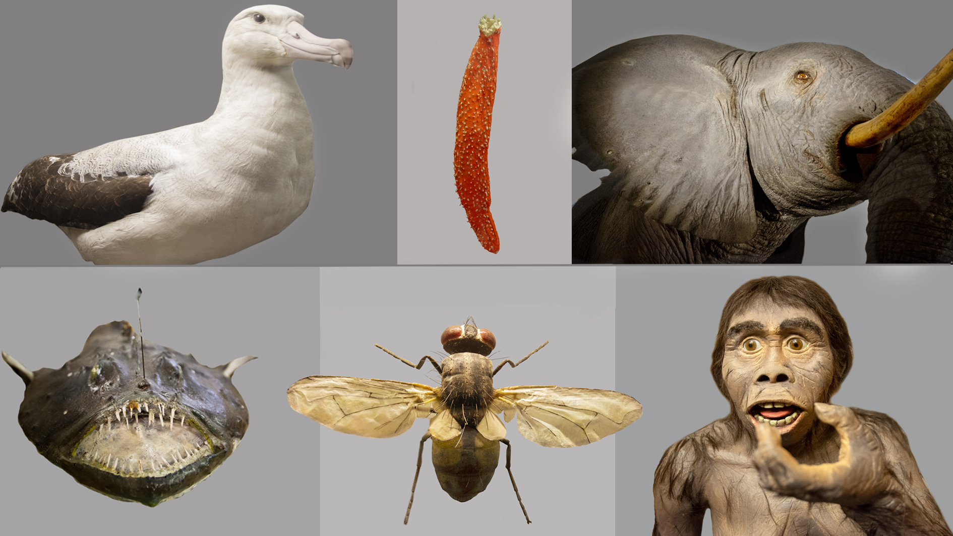 Ingen beskrivning tillgänglig