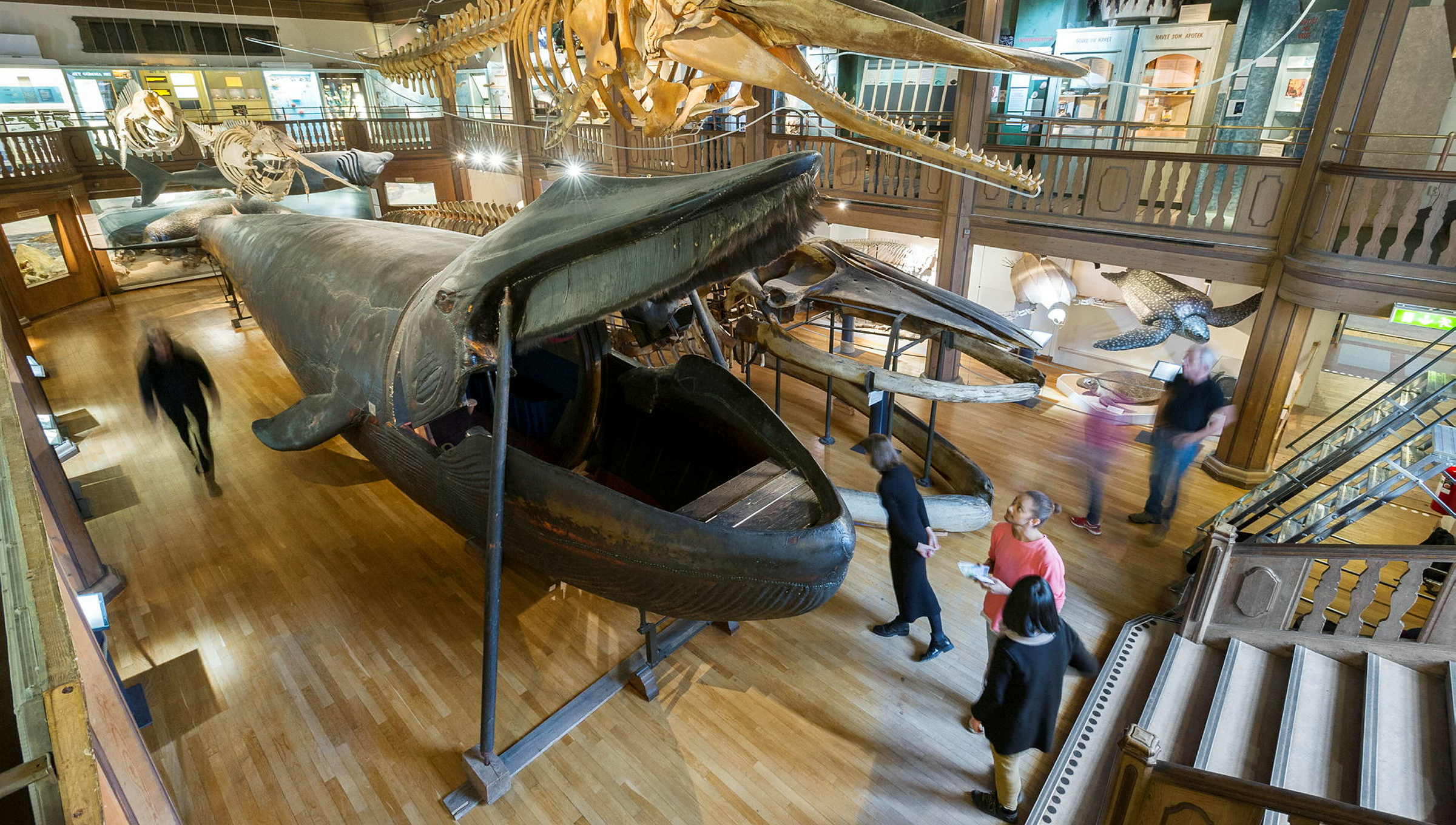 Ingen beskrivning tillgänglig