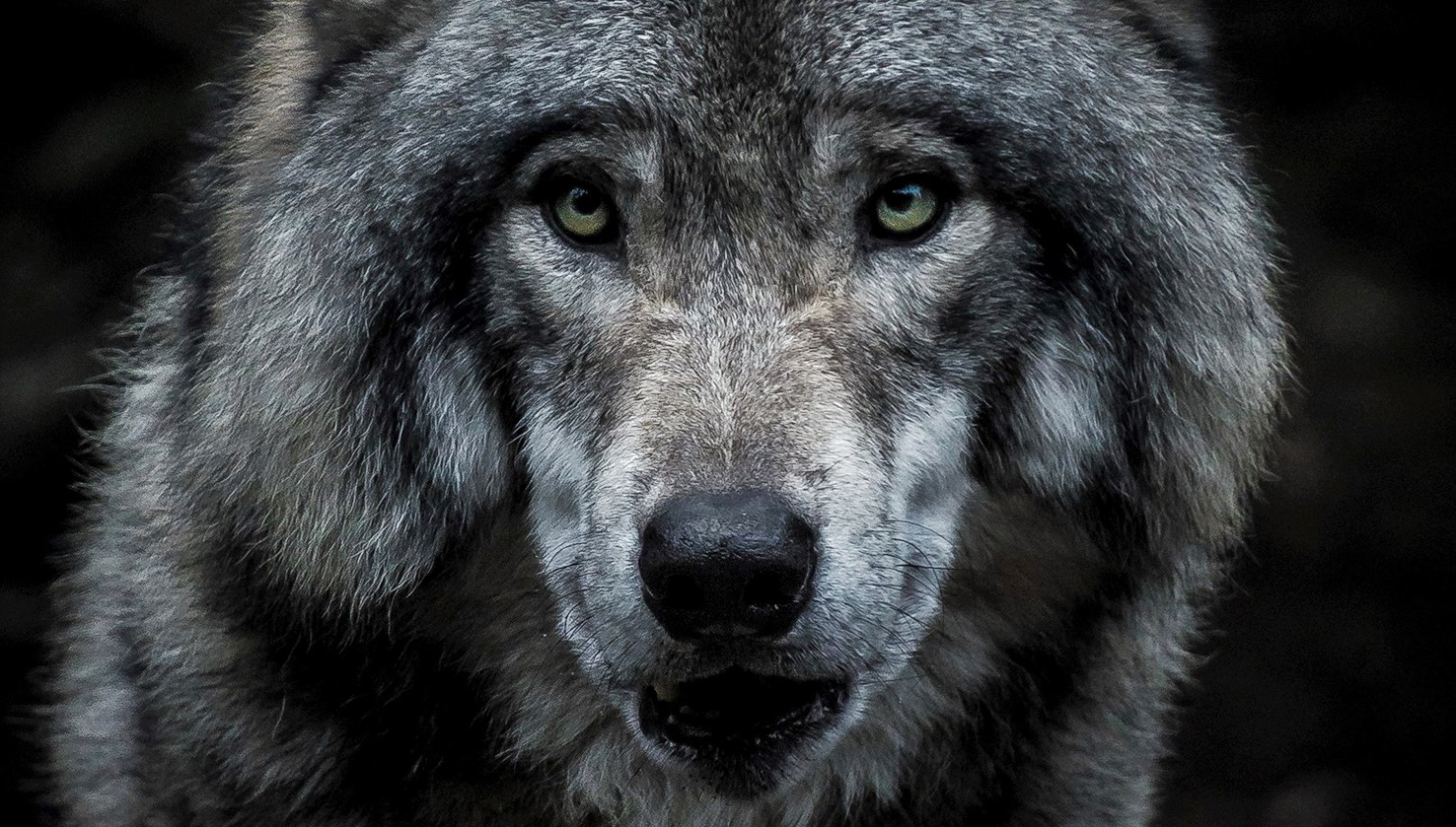 Ingen beskrivning tillgänglig