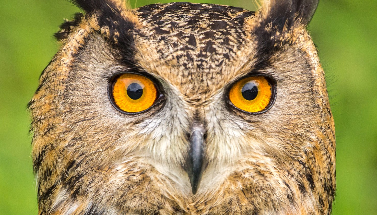 Ingen beskrivning tillgänglig