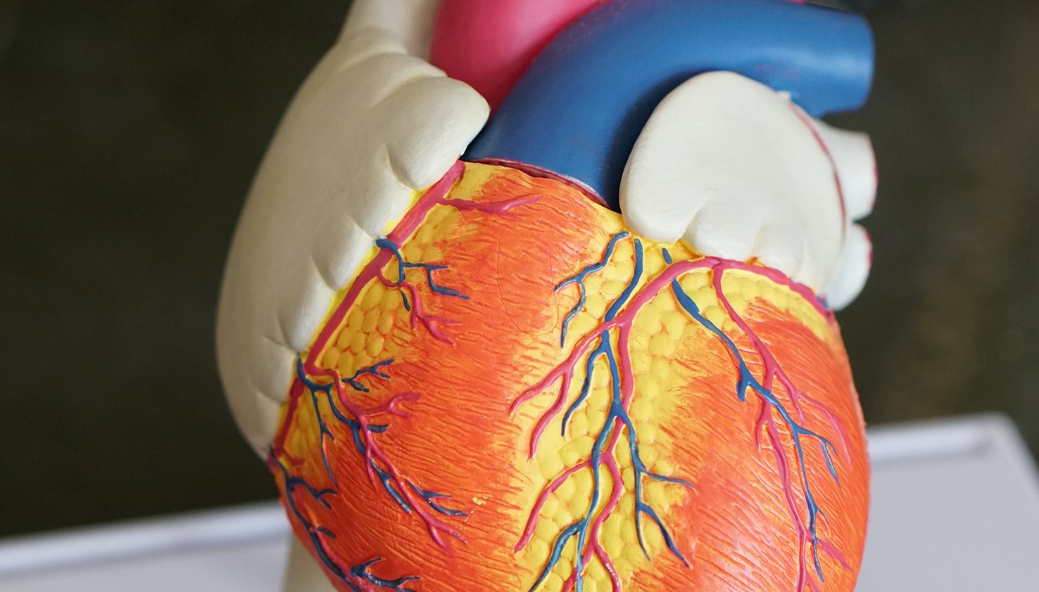 Ingen beskrivning tillgänglig