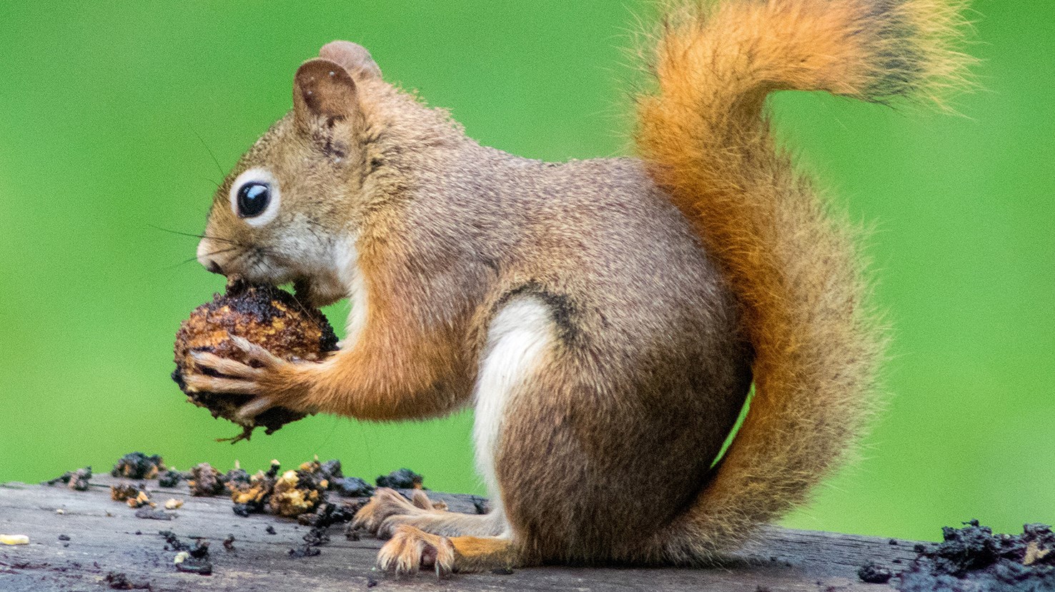 Ingen beskrivning tillgänglig