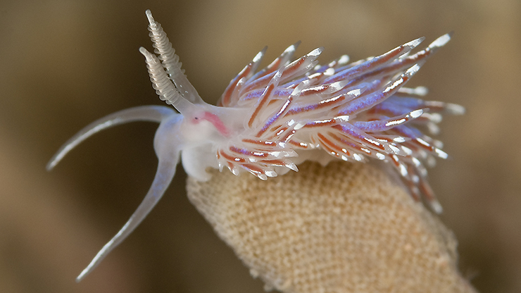 Ingen beskrivning tillgänglig