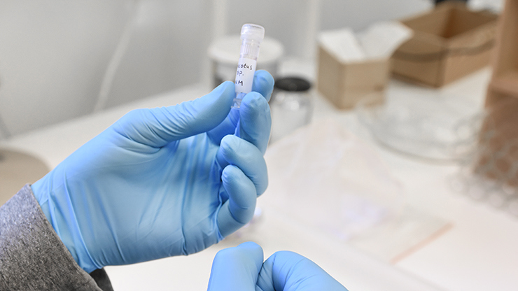 A hand holding a test tube