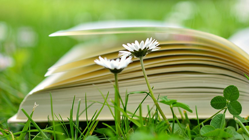 Uppslagen bok som ligger i gräset