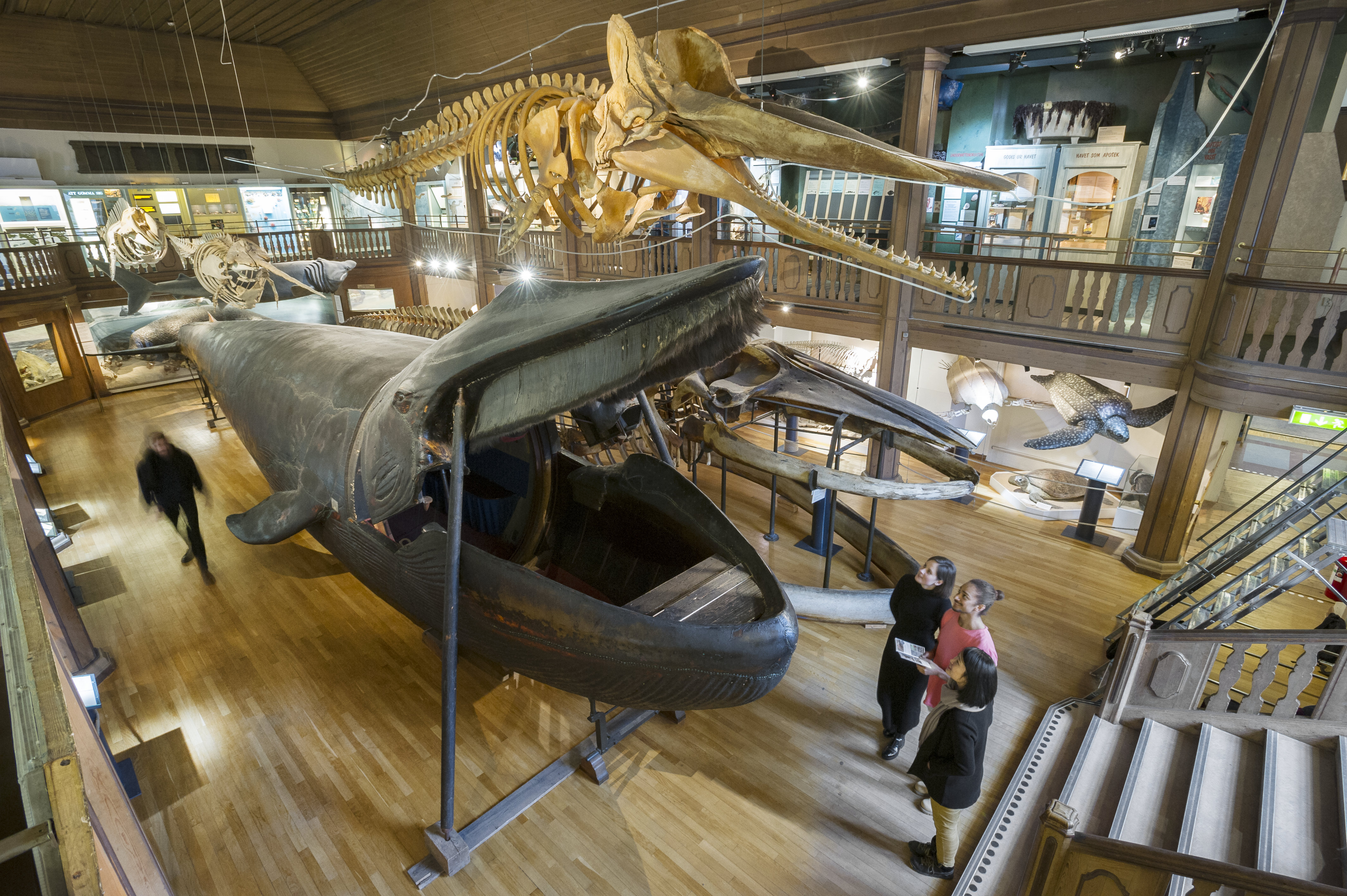 Ingen beskrivning tillgänglig