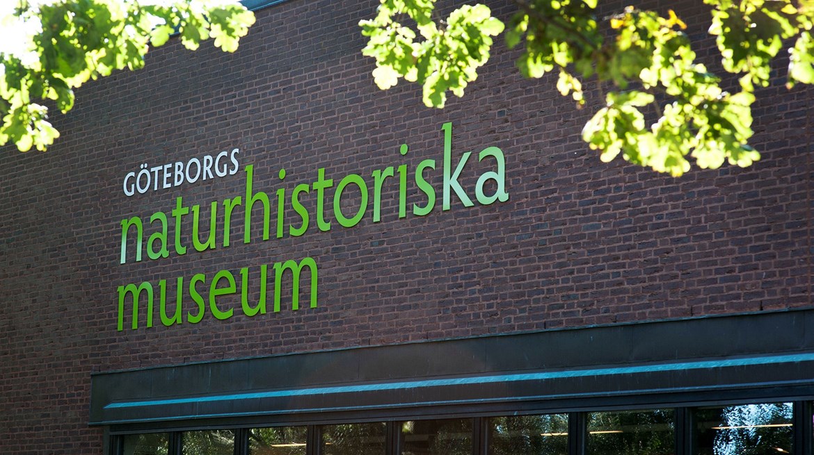 Entré Göteborgs naturhistoriska museum
