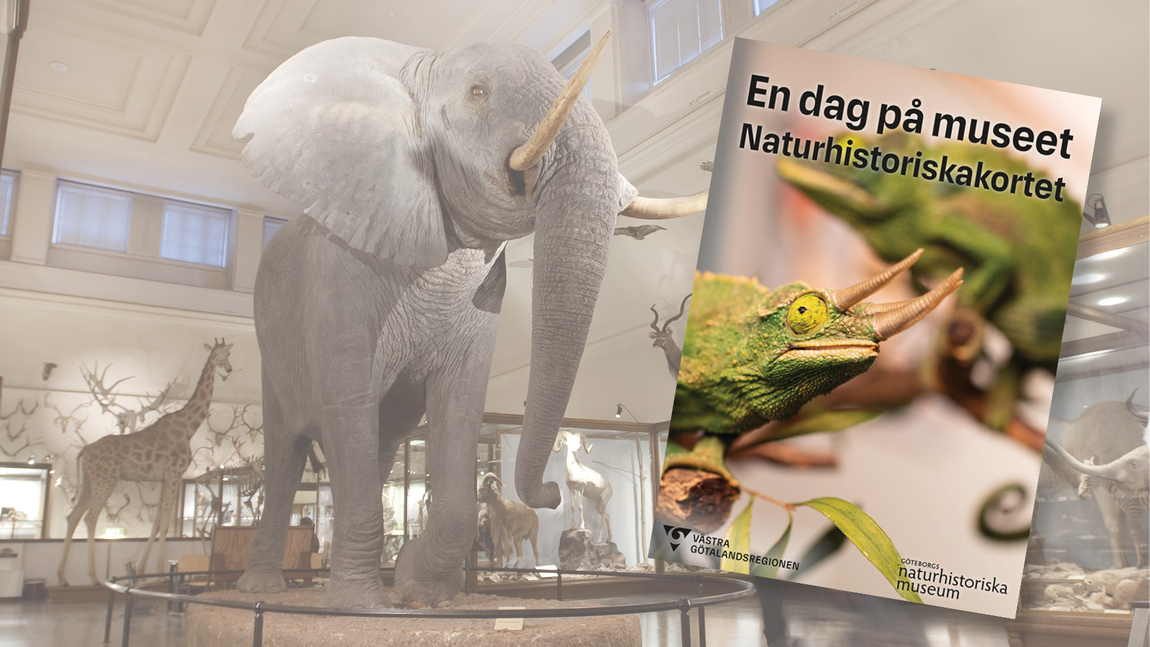 Naturhistoriskakortet