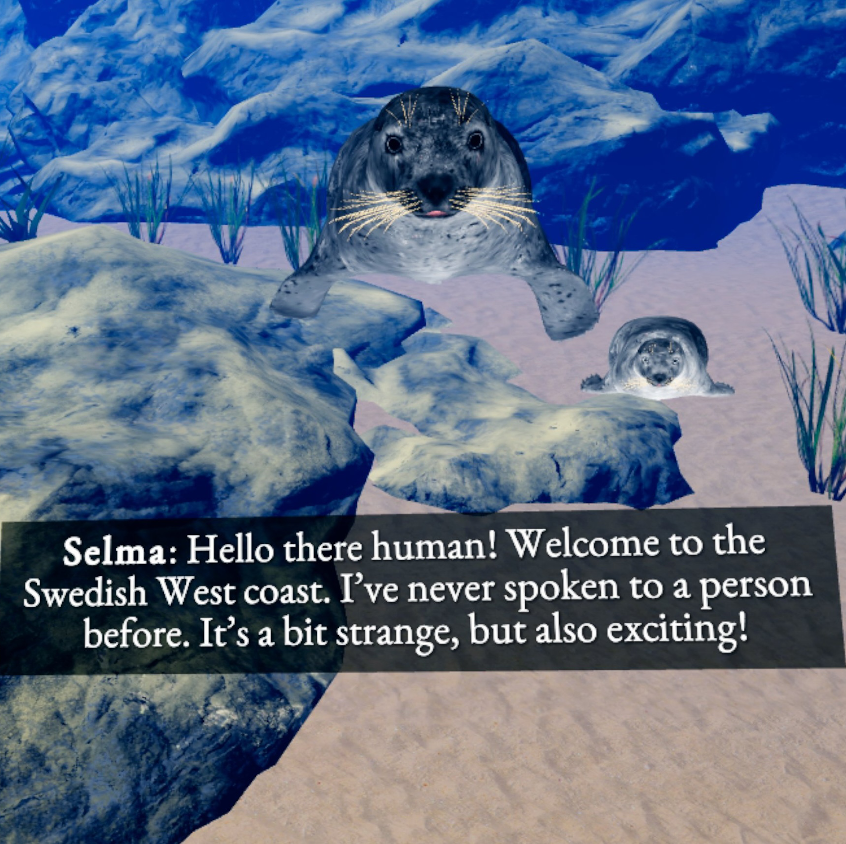 illustration föreställande en havsbotten. Beige sandbotten, blått hav och blå berggrund. Mitt i bilden ser vi huvudet på en blå säl. Sälen heter Selma. En svart ruta med vit text finns nedanför sälen. Där står det. Selma: Hello there human! WElcome to the Swediush West coast. I´ve never spoken to a person before. It´s a bit strange but also exciting!  