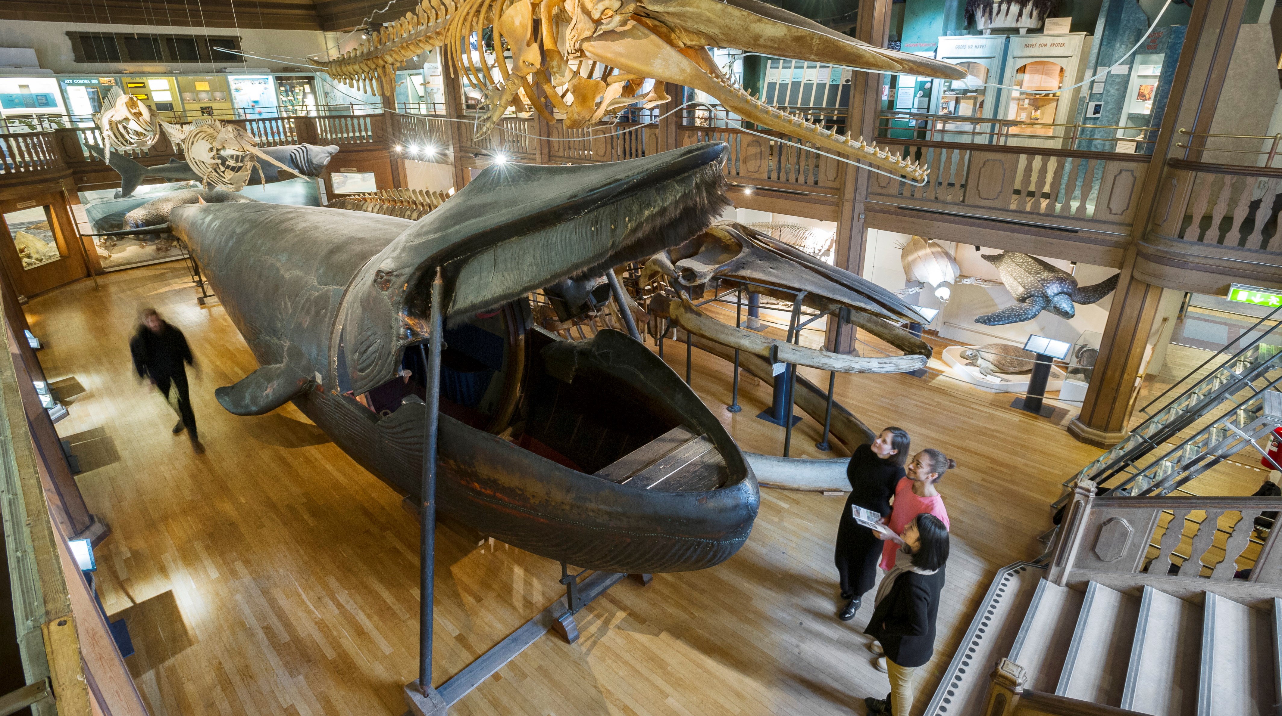 Ingen beskrivning tillgänglig