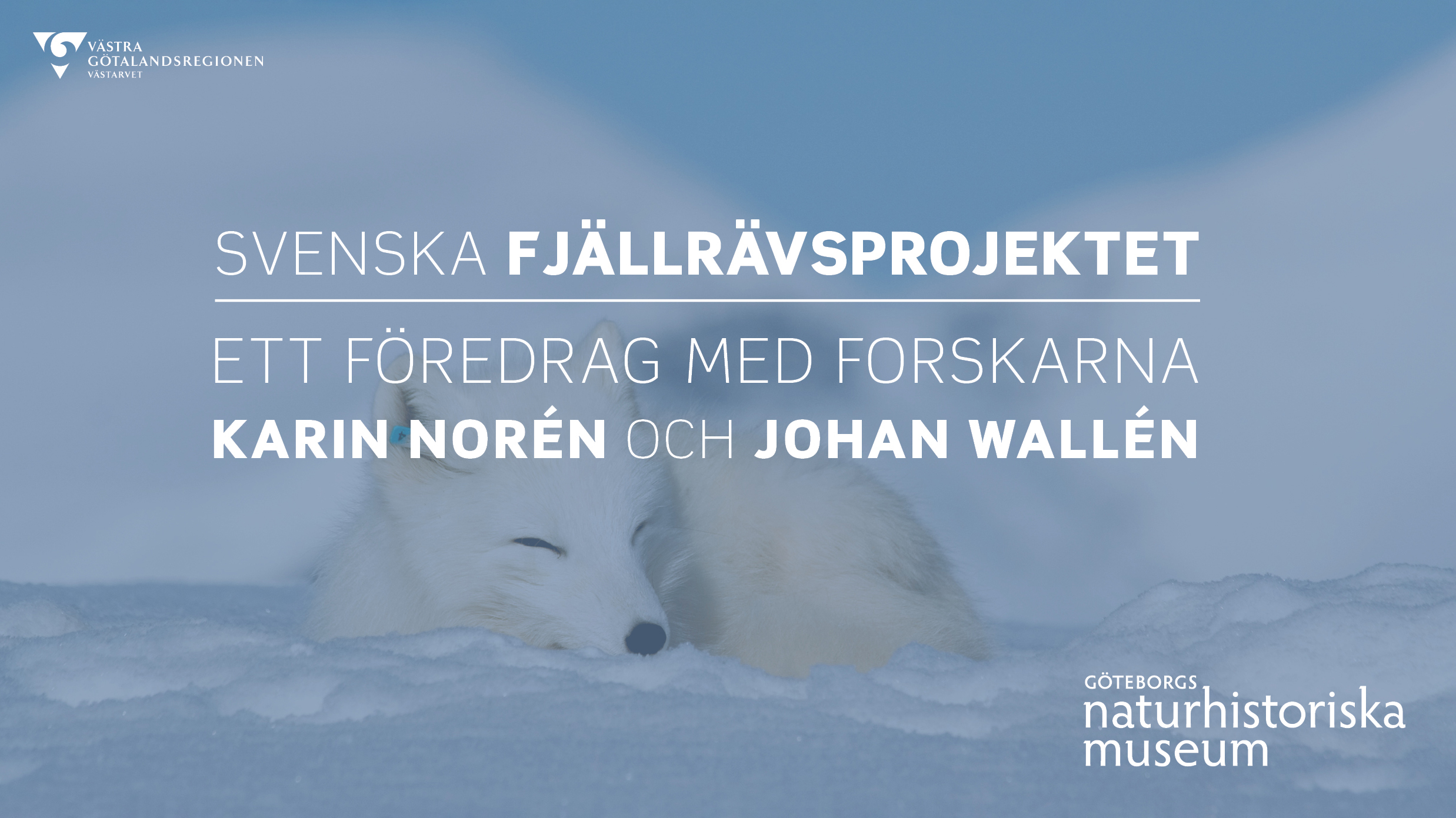 Ingen beskrivning tillgänglig