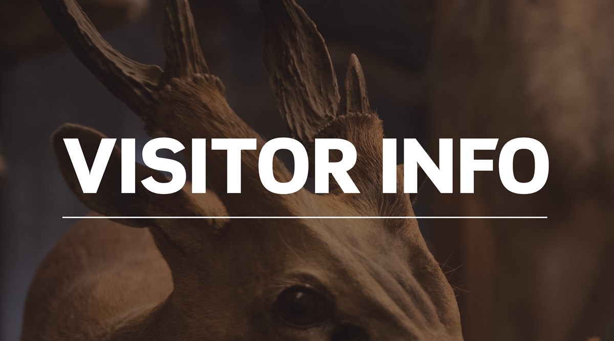 Picture of a deer with the text Visitor info