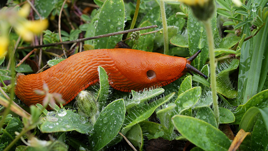Ingen beskrivning tillgänglig