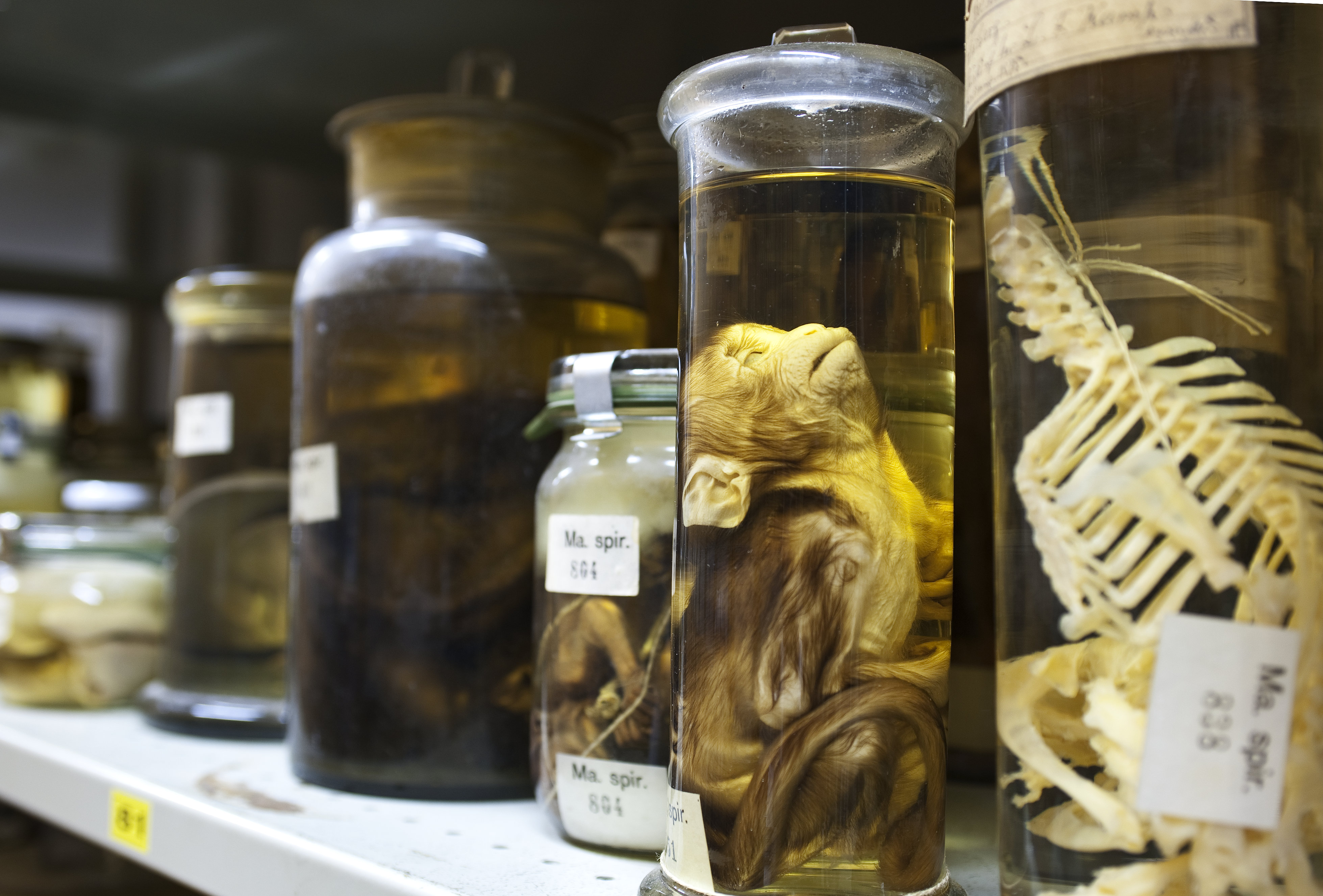 Ingen beskrivning tillgänglig