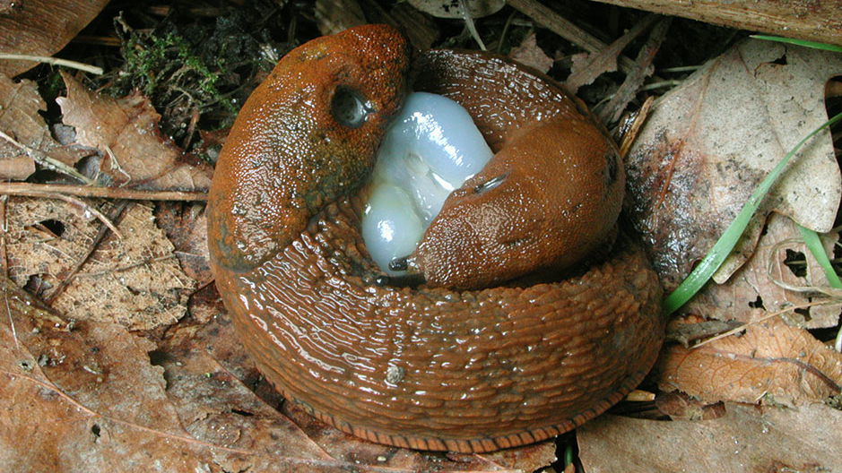 Ingen beskrivning tillgänglig