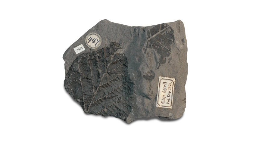 Ingen beskrivning tillgänglig