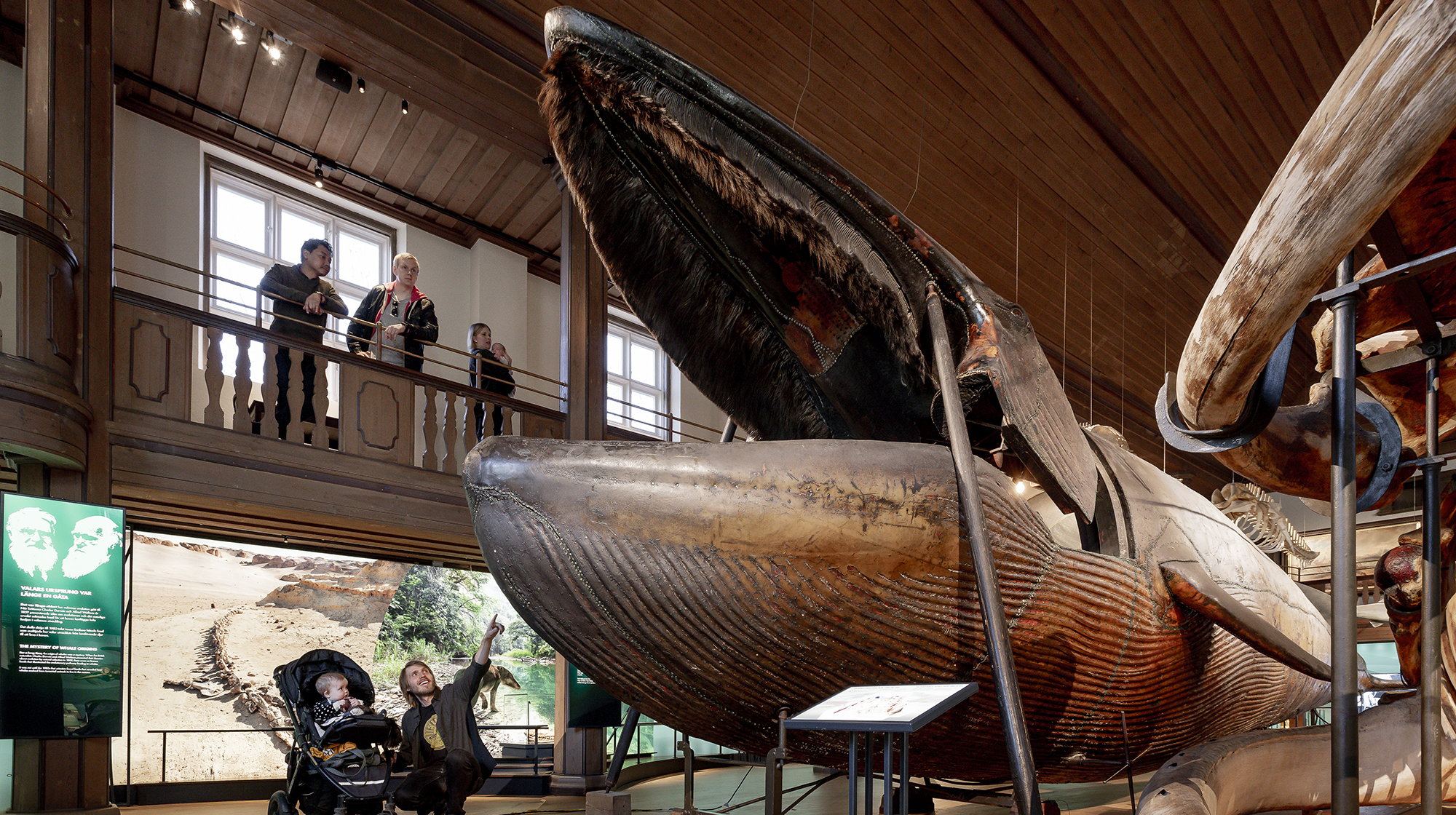 Ingen beskrivning tillgänglig