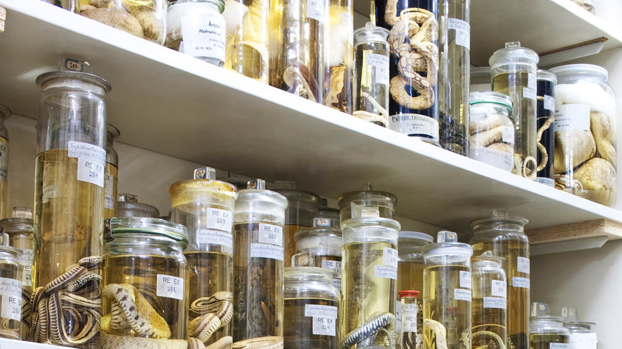 Ingen beskrivning tillgänglig