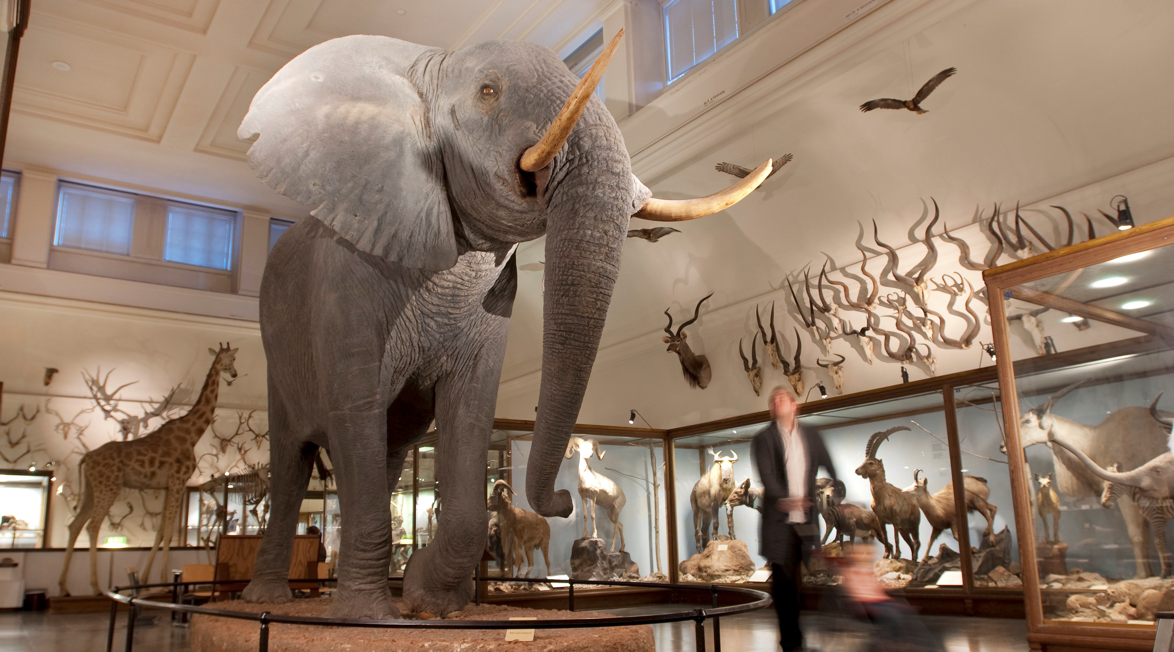 Ingen beskrivning tillgänglig