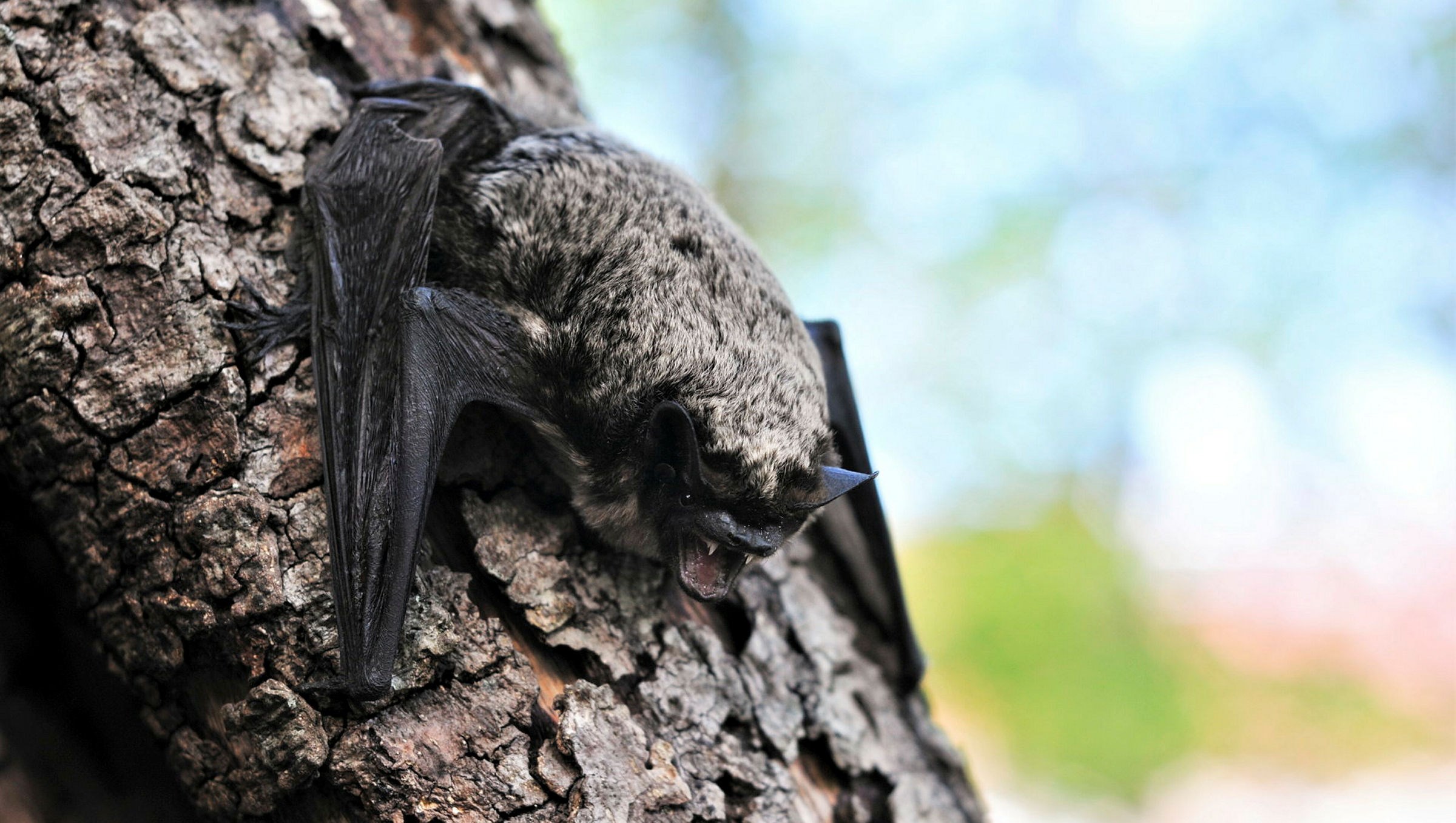 Ingen beskrivning tillgänglig