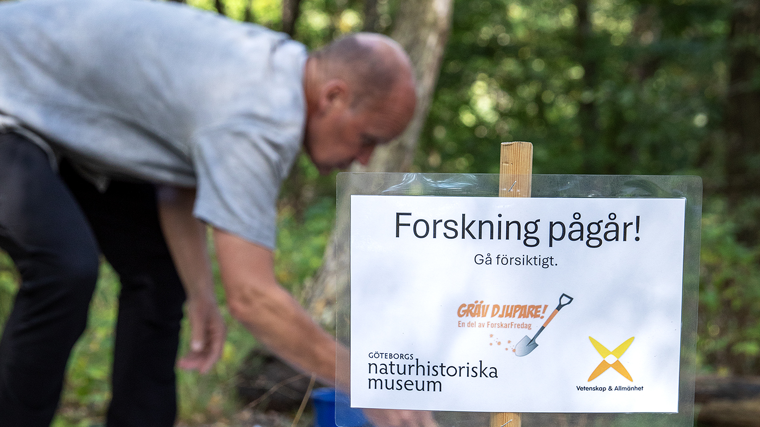 Ingen beskrivning tillgänglig