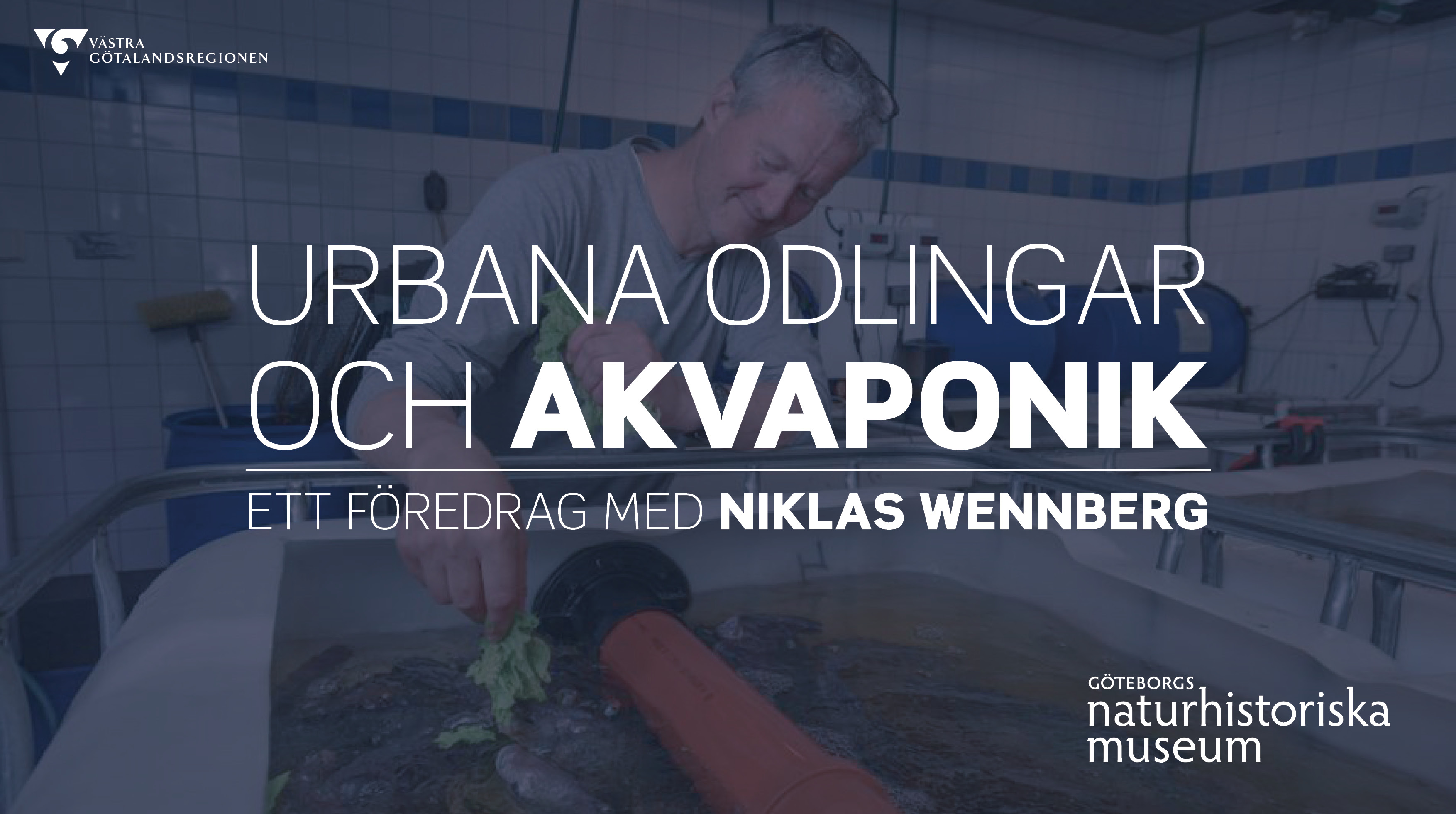 Ingen beskrivning tillgänglig