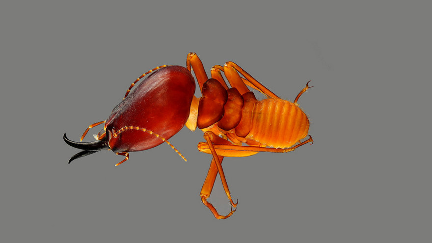 Ingen beskrivning tillgänglig