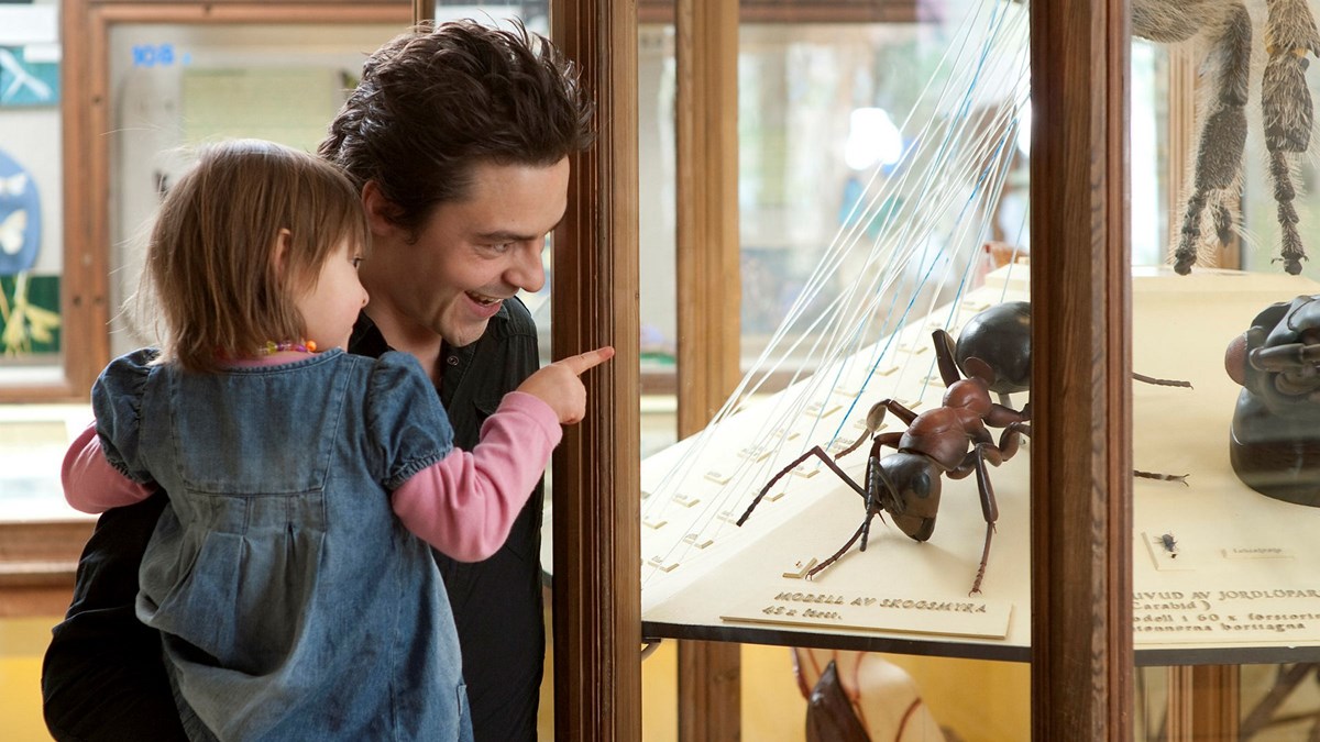Barn pekar på en stor myra i en monter på Göteborgs naturhistoriska museum