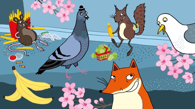 Duva, räv, råtta och mås i stadsmiljö