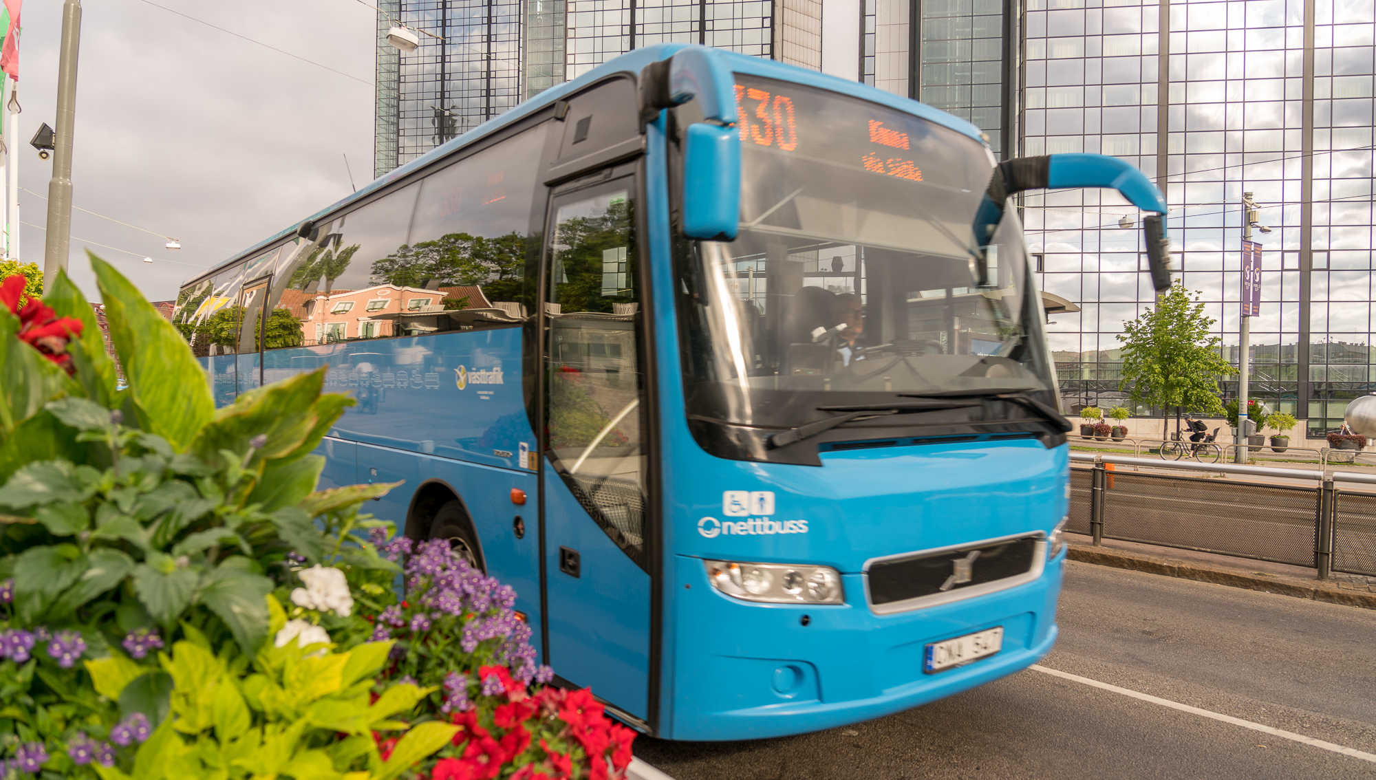 En buss i stadsmiljö men en blomsterplantering i förgrunden
