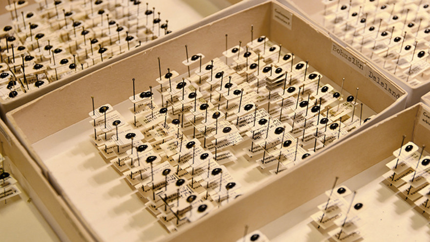 Ingen beskrivning tillgänglig