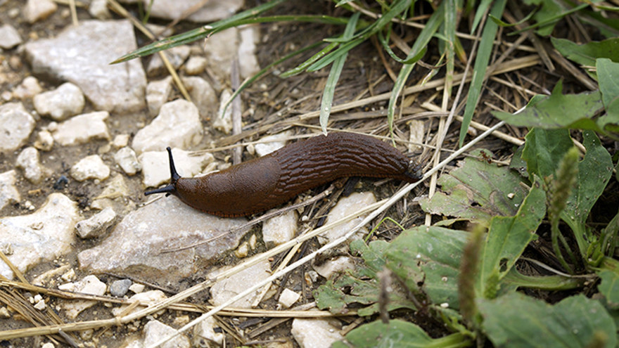Ingen beskrivning tillgänglig