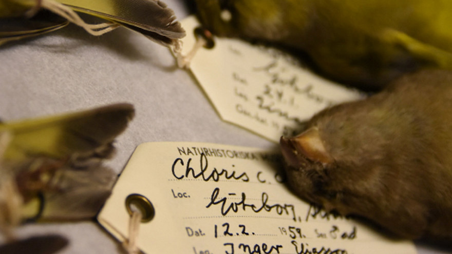 Ingen beskrivning tillgänglig