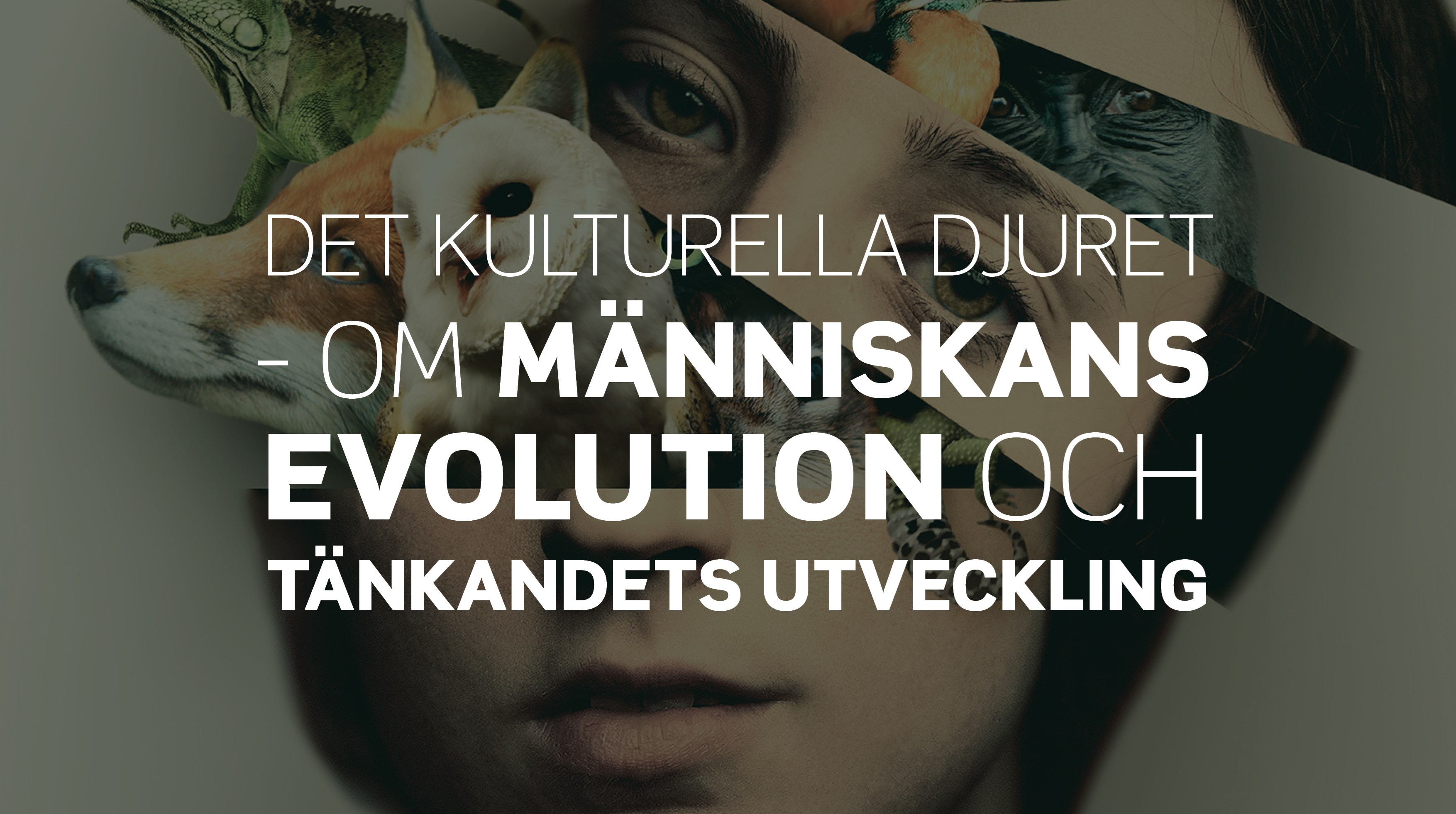 Bild på del av bokens omslag med titeln skriven i vita versaler