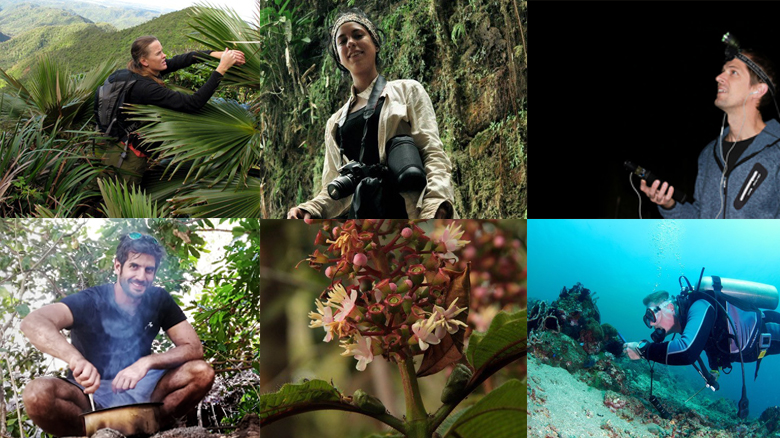 Portraits of five researchers in the field