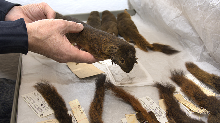 Ingen beskrivning tillgänglig