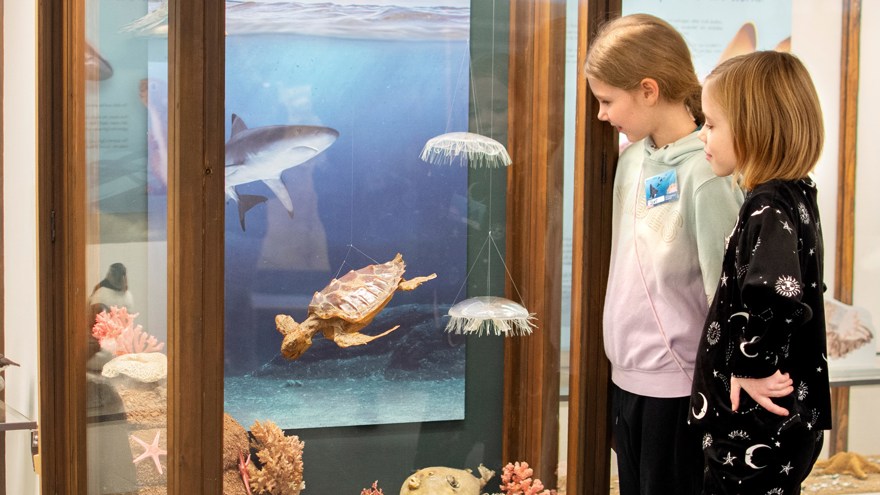 Rockklubbsmedlemmar kollar monter