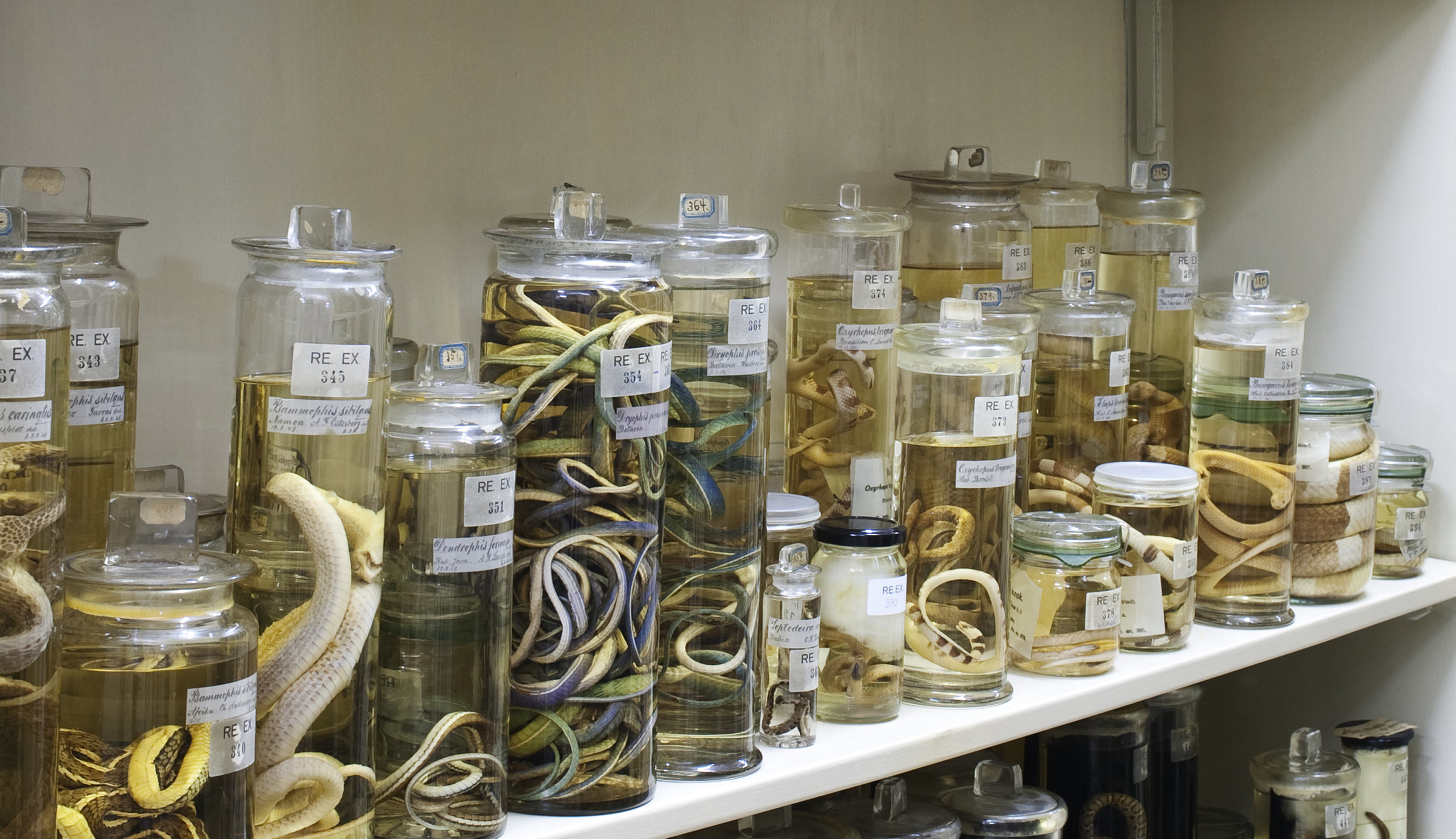 Ingen beskrivning tillgänglig