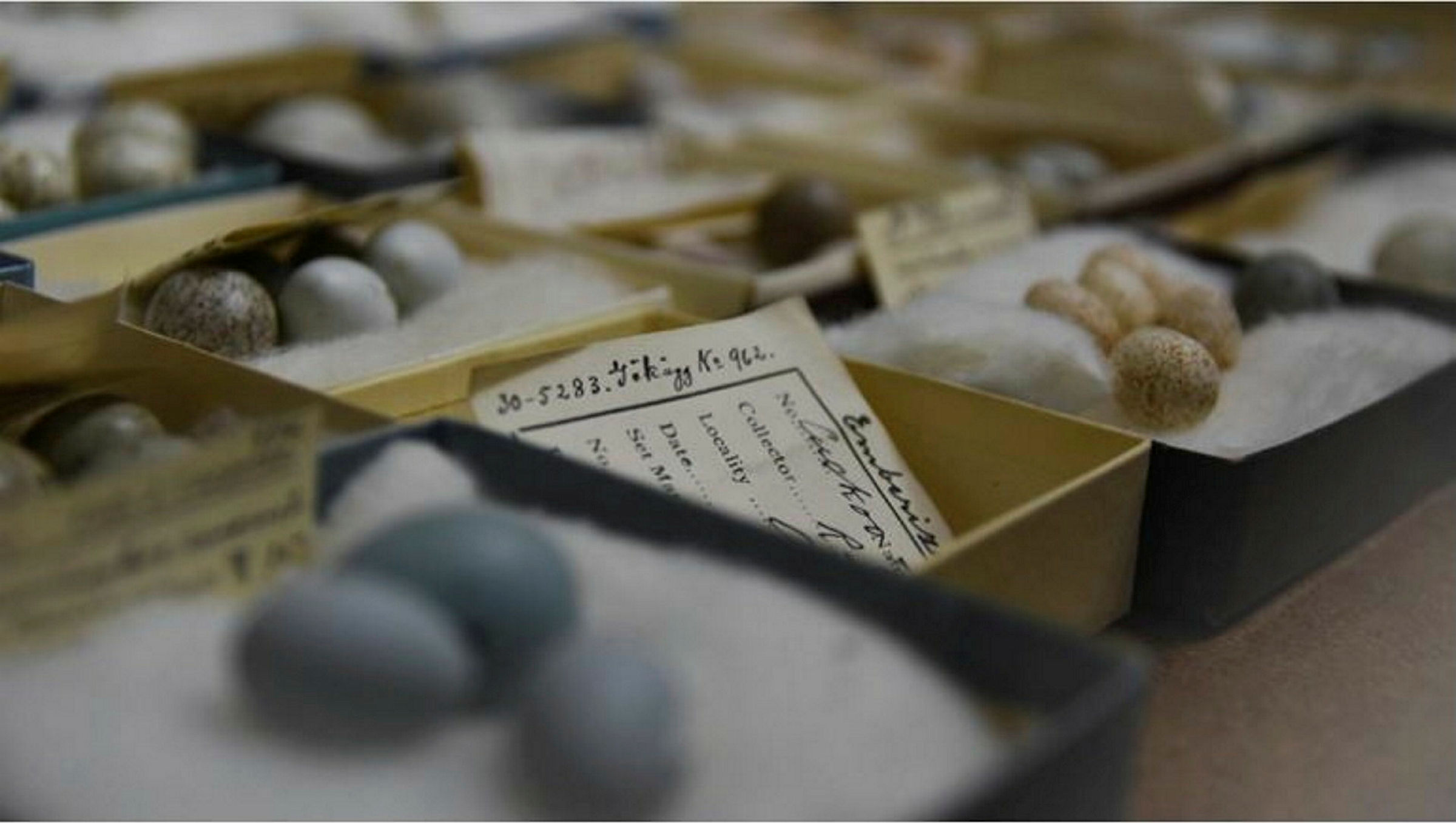 Ingen beskrivning tillgänglig