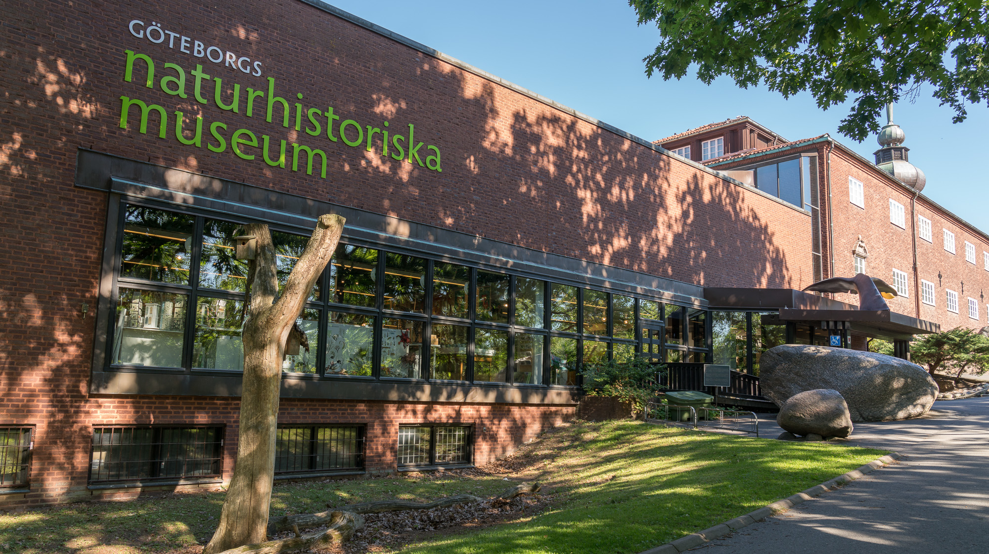 Entrén till Göteborgs naturhistoriska museum