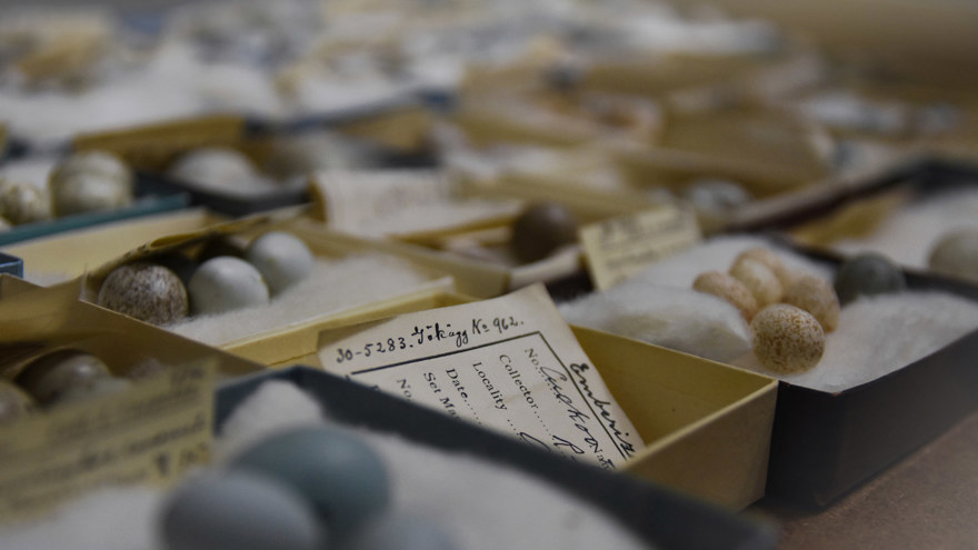 Ingen beskrivning tillgänglig